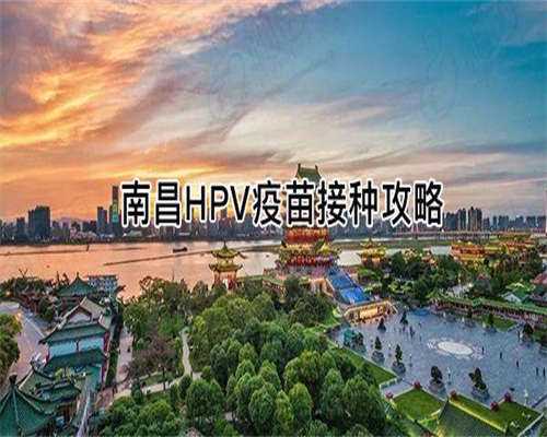 高泌乳素血症试管上海
