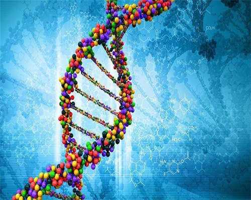 上海子宫肌瘤试管_有生理缺陷或疾病不能生育如何选择助孕方案-馨孕堂